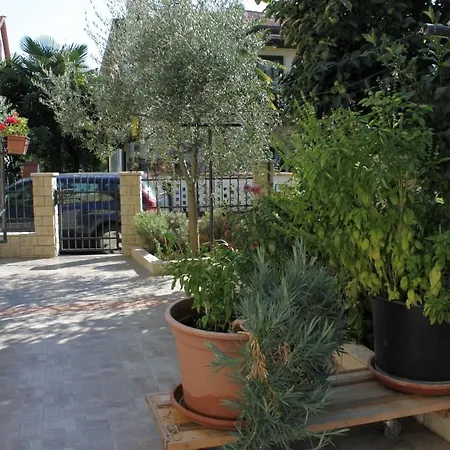 Appartement Novigrad 6979a Novigrad Istria